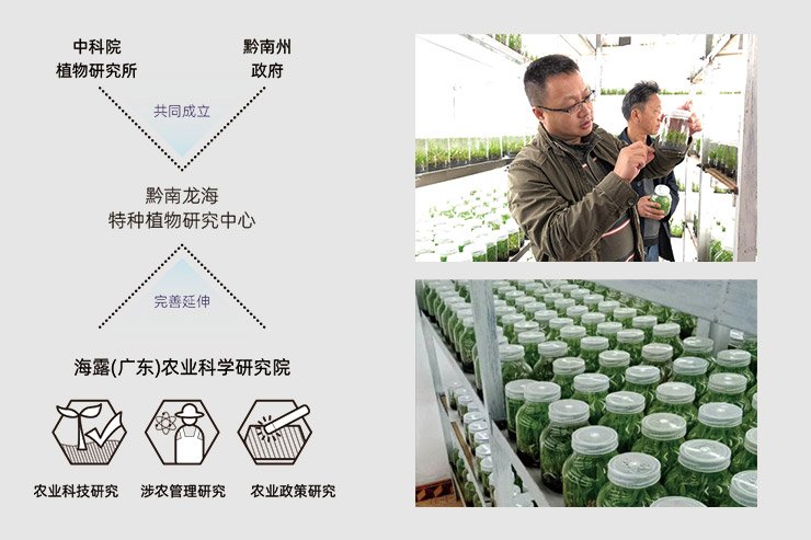 rb88随行版-rb88手机随行版登录入口