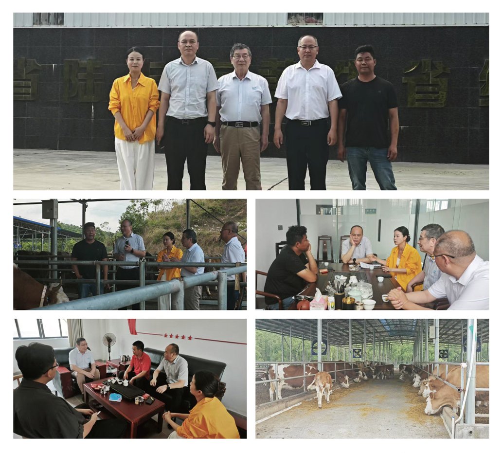 rb88随行版-rb88手机随行版登录入口