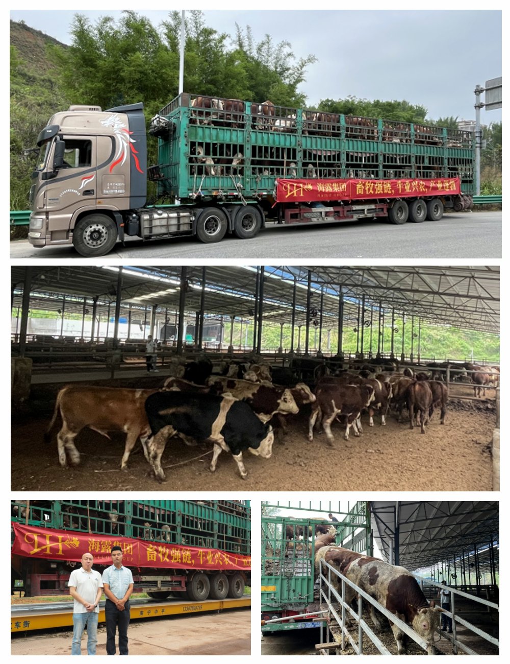 rb88随行版-rb88手机随行版登录入口