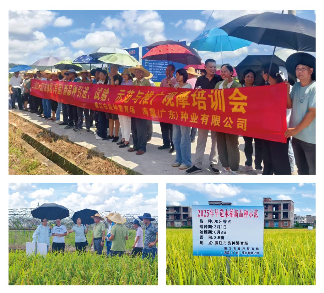 rb88随行版-rb88手机随行版登录入口