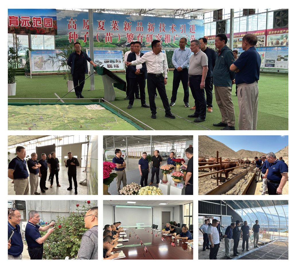 rb88随行版-rb88手机随行版登录入口