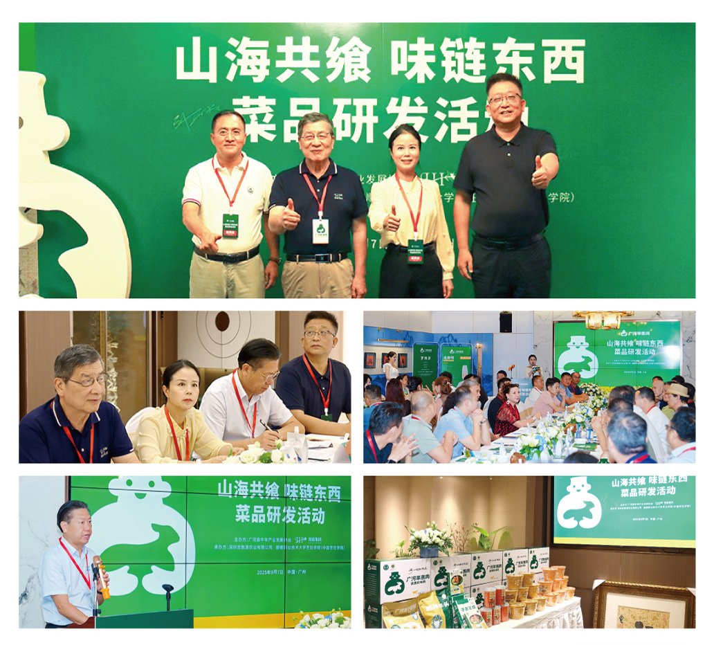 rb88随行版-rb88手机随行版登录入口