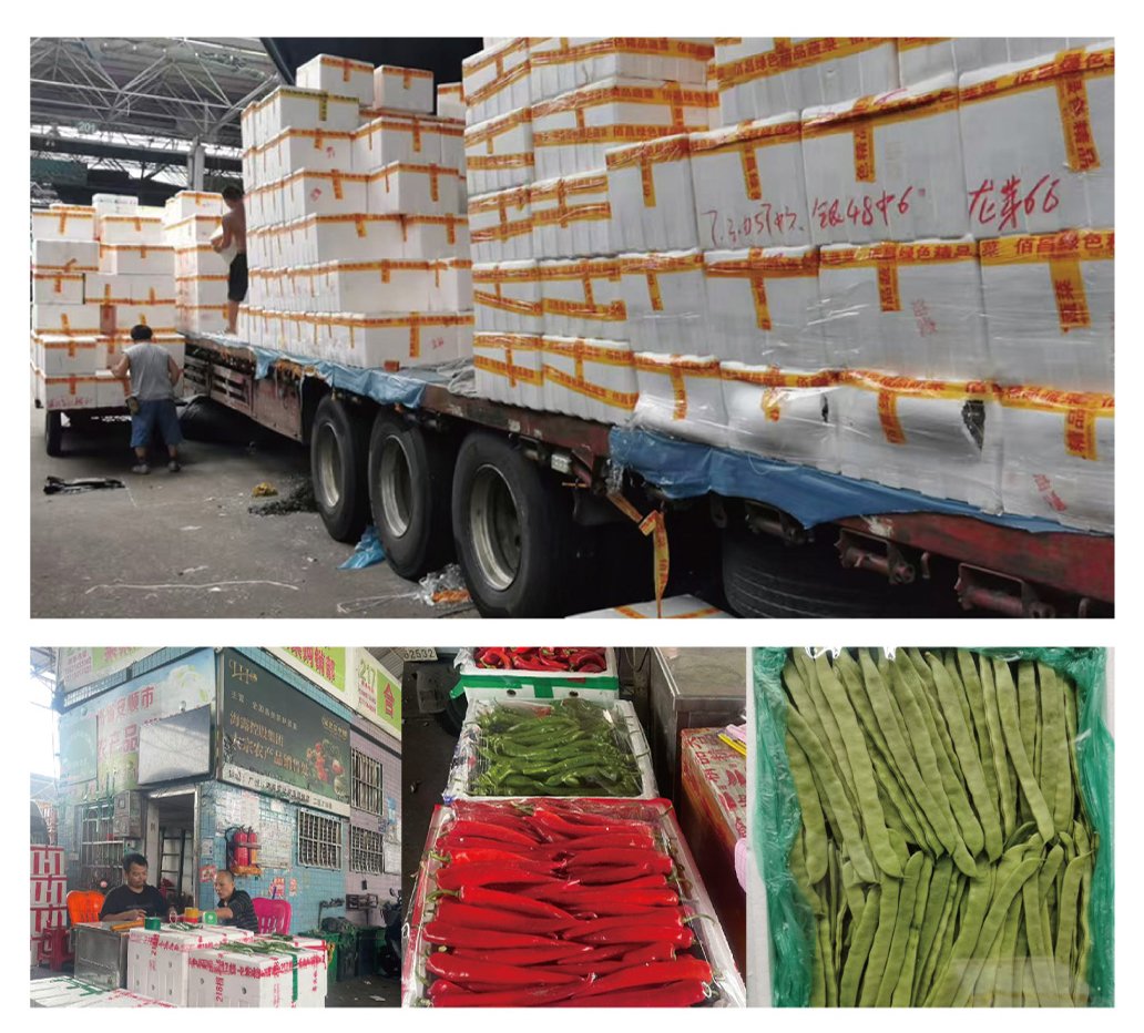 rb88随行版-rb88手机随行版登录入口