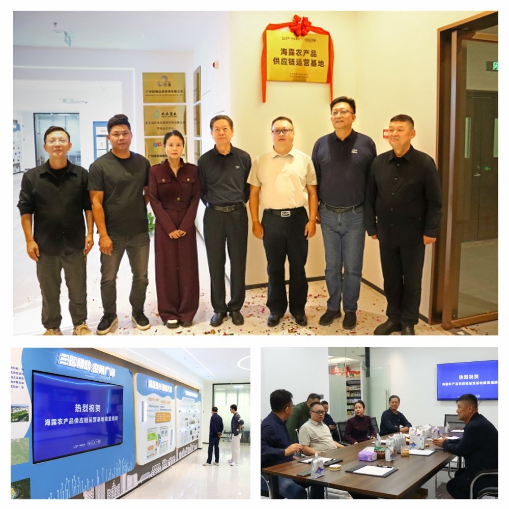 rb88随行版-rb88手机随行版登录入口