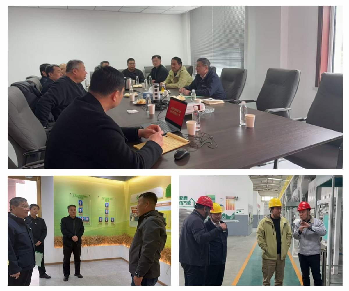 rb88随行版-rb88手机随行版登录入口