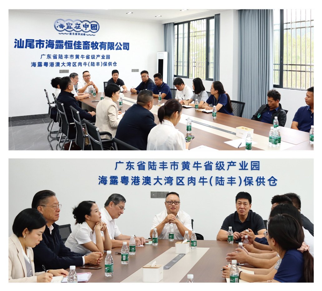 rb88随行版-rb88手机随行版登录入口