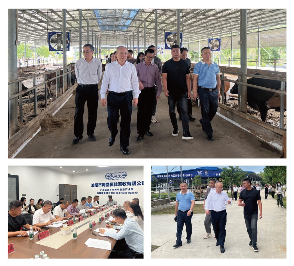 rb88随行版-rb88手机随行版登录入口