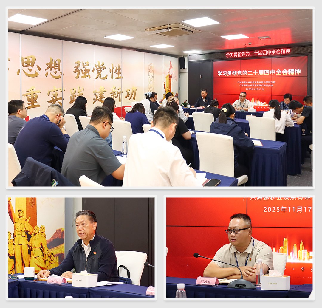 rb88随行版-rb88手机随行版登录入口