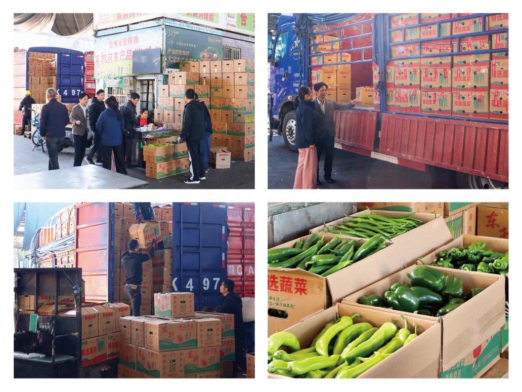 rb88随行版-rb88手机随行版登录入口