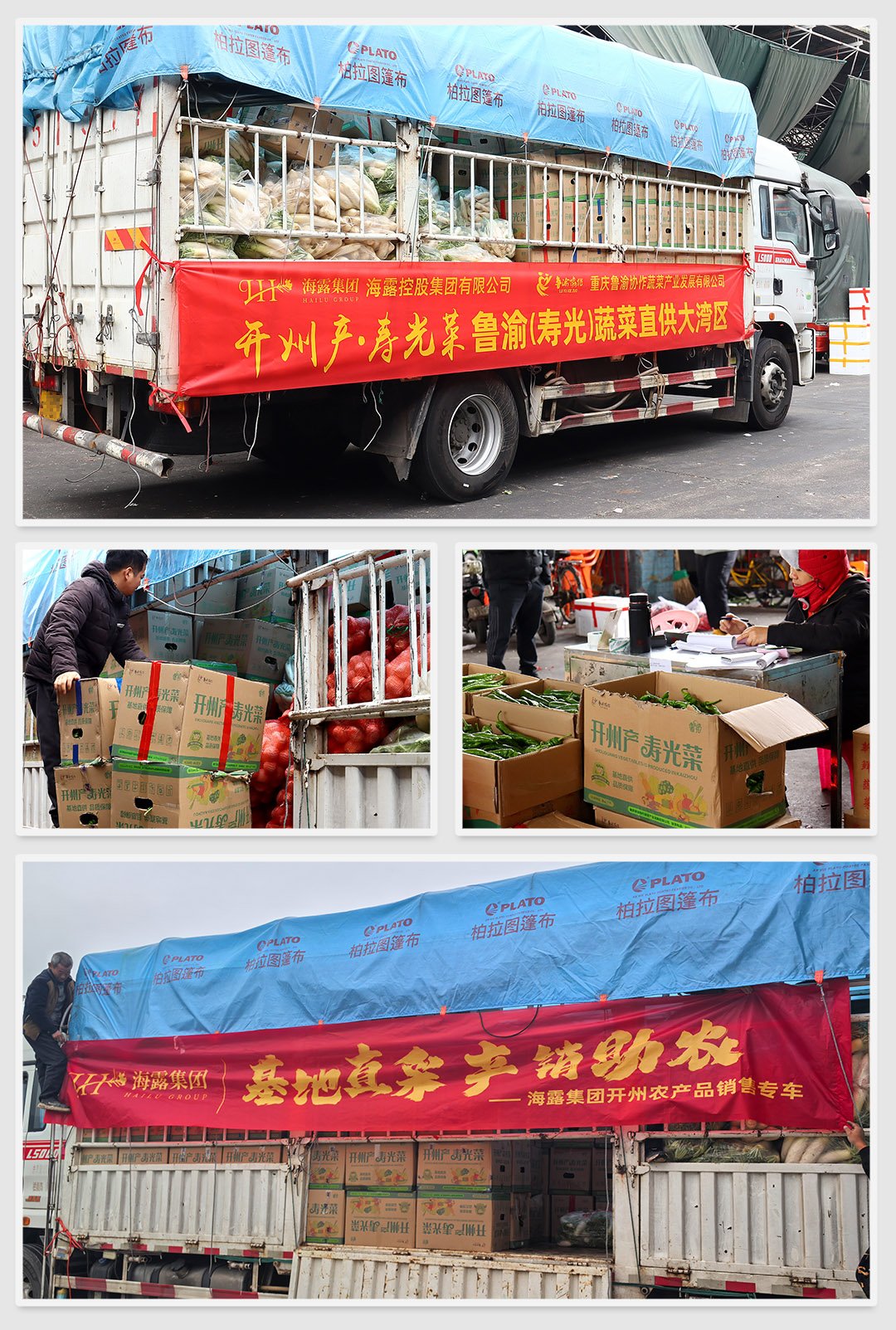 rb88随行版-rb88手机随行版登录入口